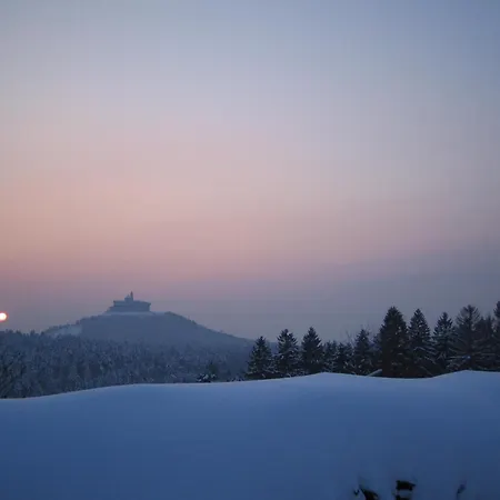 Hotel Logis Hotel & Restaurant - Les Vosges 3*
