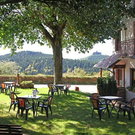Logis Hotel & Restaurant - Les Vosges