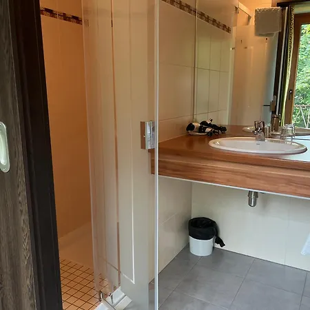 Hotel Logis & Restaurant - Les Vosges 3*