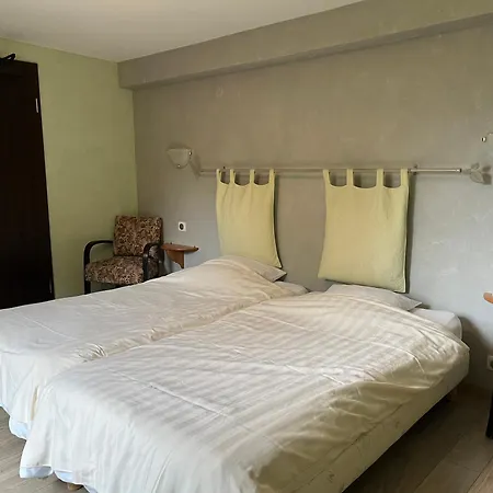 Hotel Logis & Restaurant - Les Vosges Dabo