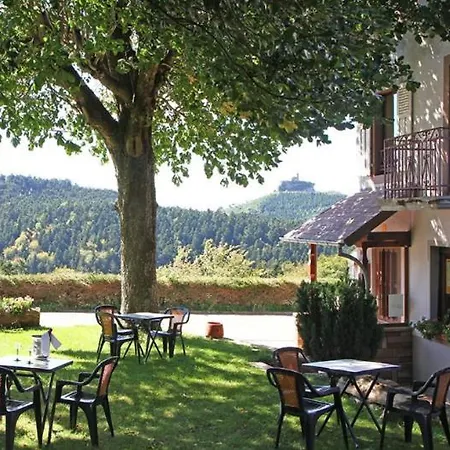 Hotel Logis Hotel & Restaurant - Les Vosges