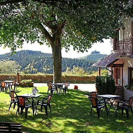 מלון Logis & Restaurant - Les Vosges Dabo