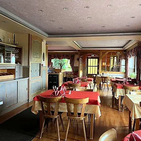 Logis & Restaurant - Les Vosges מלון