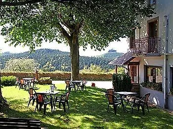 Logis & Restaurant - Les Vosges מלון